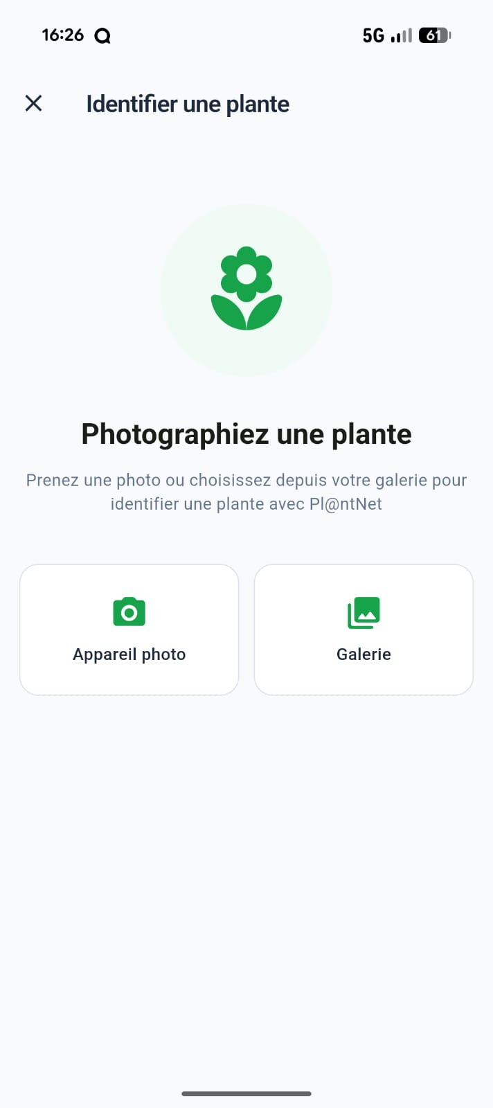 Identifier une plante