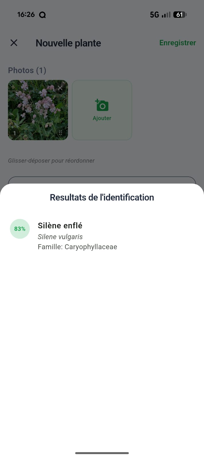Identification Pl@ntNet